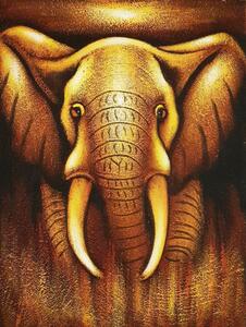 Obraz slona 70x90
