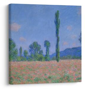 Obraz - Claude Monet, Poppy Field (Giverny), reprodukce (30x30 cm)