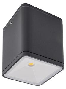 Redo 9198 stropní LED svítidlo Beta tmavě šedé, 6W, 3000K, 12cm