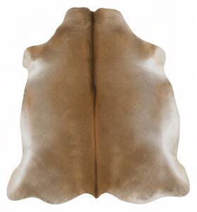 ARCTIC FUR Hovězí předložka 100% příroda
