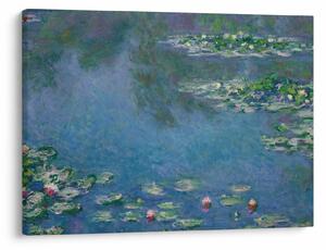 Obraz - Claude Monet, Water Lilies, reprodukce (70x50 cm)