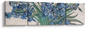Obraz - Vincent van Gogh, Irises, reprodukce (170x50 cm)