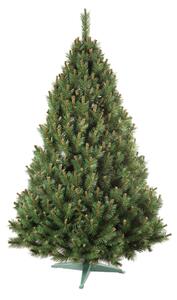 Vánoční stromeček Aga BOROVICE 160 cm