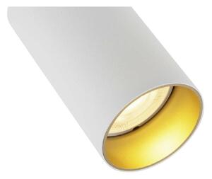 BIG WHITE (SLV) KAMI stropní zápustné svítidlo, 1 max. 10 W, GU10, bílá/zlatá 1007740
