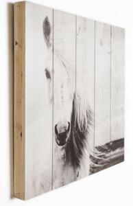 Dřevěná cedule 50x50 cm Horse - Graham & Brown