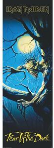 Plakát, Obraz - Iron Maiden - Fear of the Dark, (53 x 158 cm)