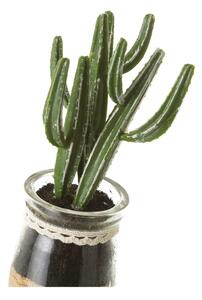 Umělé rostliny v sadě 4 ks (výška 18 cm) Cactus – Casa Selección