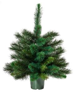 TREE OF THE MONTH Vánoční stromek 60 cm - zelená
