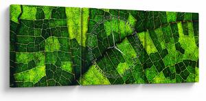 Obraz - Detail listu (s hodinami) (90x30 cm)