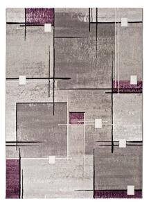 Šedo-fialový koberec Universal Detroit, 120 x 170 cm