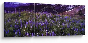 Obraz - Sopka a květiny (s hodinami) (90x30 cm)