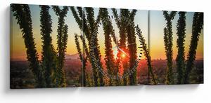 Obraz - Rostliny (s hodinami) (90x30 cm)