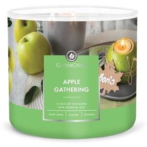 Vonná sojová svíčka doba hoření 35 h Apple Gathering – Goose Creek