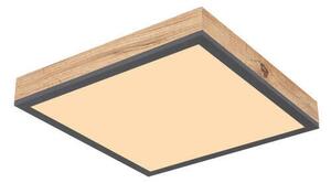 STROPNÍ LED SVÍTIDLO, 30/30/6 cm - Stropní svítidla