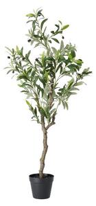 Livarno® Umělá rostlina, 125 cm (olivovník) (100405446001)