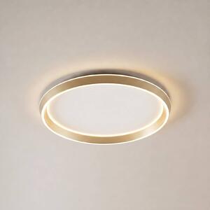Lucande LED stropní svítidlo Rylan, mosaz, Ø 62 cm, stmívatelné s regulací, stmívatelný, Mosaz / zlato, Obývací pokoj / jídelna, kov, Moderní