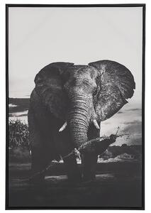 Zarámovaný obraz na plátně slon 63 x 93 cm šedý NIBBIA