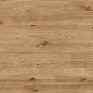 Organic podlaha Krono Original Classic solar oak 8 mm ORGCK405