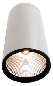 Deko-Light KapegoLED stropní přisazené svítidlo Luna 40 220-240V AC/50-60Hz 40,20 W 3000 K 2520 lm bílá 348063