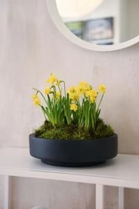 Mísa na květiny ESCADA LOW, sklolaminát, průměr 30 cm, antracit