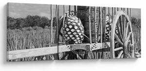 Obraz - Přívěsný vozík, černobílá (s hodinami) (90x30 cm)