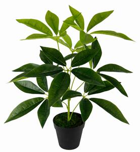 ŠEFLERA 50 cm - Umělé rostliny, Online Only