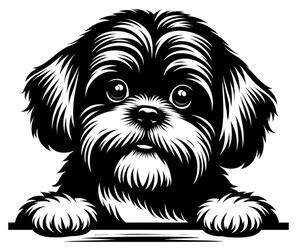 Samolepka pes Shih-tzu