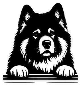 Samolepka pes Akita Inu