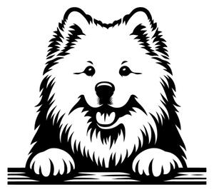 Samolepka pes Samojed