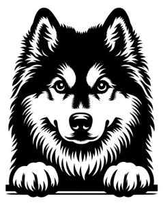 Samolepka pes Sibiřský husky
