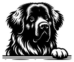 Samolepka pes Leonberger
