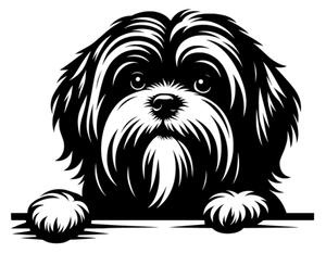 Samolepka pes Lhasa Apso