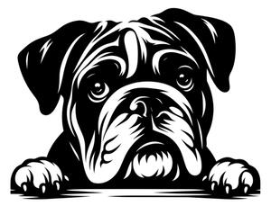 Samolepka pes Bulldog