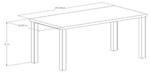 Jídelní stůl Kolpík velikost stolu (D x Š): 250 x 100 (cm)