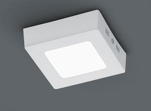 Trio Leuchten 657110601 ZEUS - LED stropní čtvercové svítidlo 5,5W, 3000K, 12 x 12cm (LED stropní přisazené svítidlo v bílé barvě)