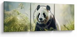 Obraz - Panda (s hodinami) (90x30 cm)