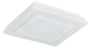 Argon 1865 - Stropní svítidlo TABOR 4xE27/15W/230V 42x42 cm bílá