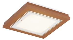 Argon 7268 - Stropní svítidlo TABOR 2xE27/15W/230V 32x32 cm terakotová