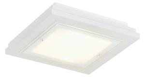 Argon 7266 - Stropní svítidlo TABOR 2xE27/15W/230V 32x32 cm bílá