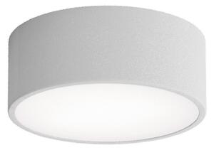 Koupelnové stropní svítidlo se senzorem CLEO 1xE27/24W/230V pr. 20 cm IP54 šedá