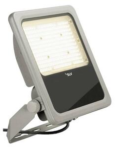 BIG WHITE SLV FLOODLIGHT C 50/75/100W 830 IP66 1008907