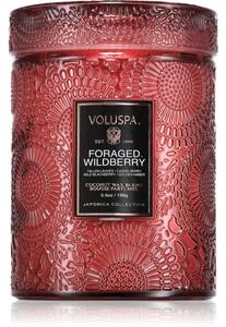 VOLUSPA Japonica Foraged Wildberry vonná svíčka 156 g