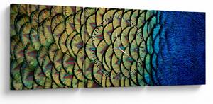 Obraz - Páví peří (s hodinami) (90x30 cm)