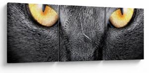 Obraz - Blízký portrét kočky (s hodinami) (90x30 cm)
