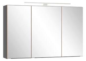 ZRCADLOVÁ SKŘÍŇKA, divoký dub, šedá, 100/64/20 cm Held - Online Only koupelnové skříňky, Online Only