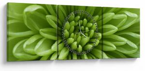 Obraz - Makro snímek rostliny (s hodinami) (90x30 cm)