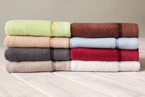 Jerry Fabrics Bavlněný froté ručník COLOR 50x100 cm - Bílý
