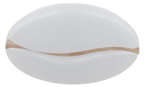 Globo 41790-18 - LED Stropní svítidlo LETICIA LED/24W/230V pr. 33 cm