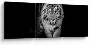 Obraz - Tygr se žlutýma očima (s hodinami) (90x30 cm)