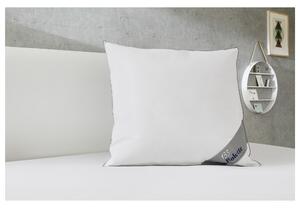 Balette Polštář z prachového peří Premium Selection (100397938)